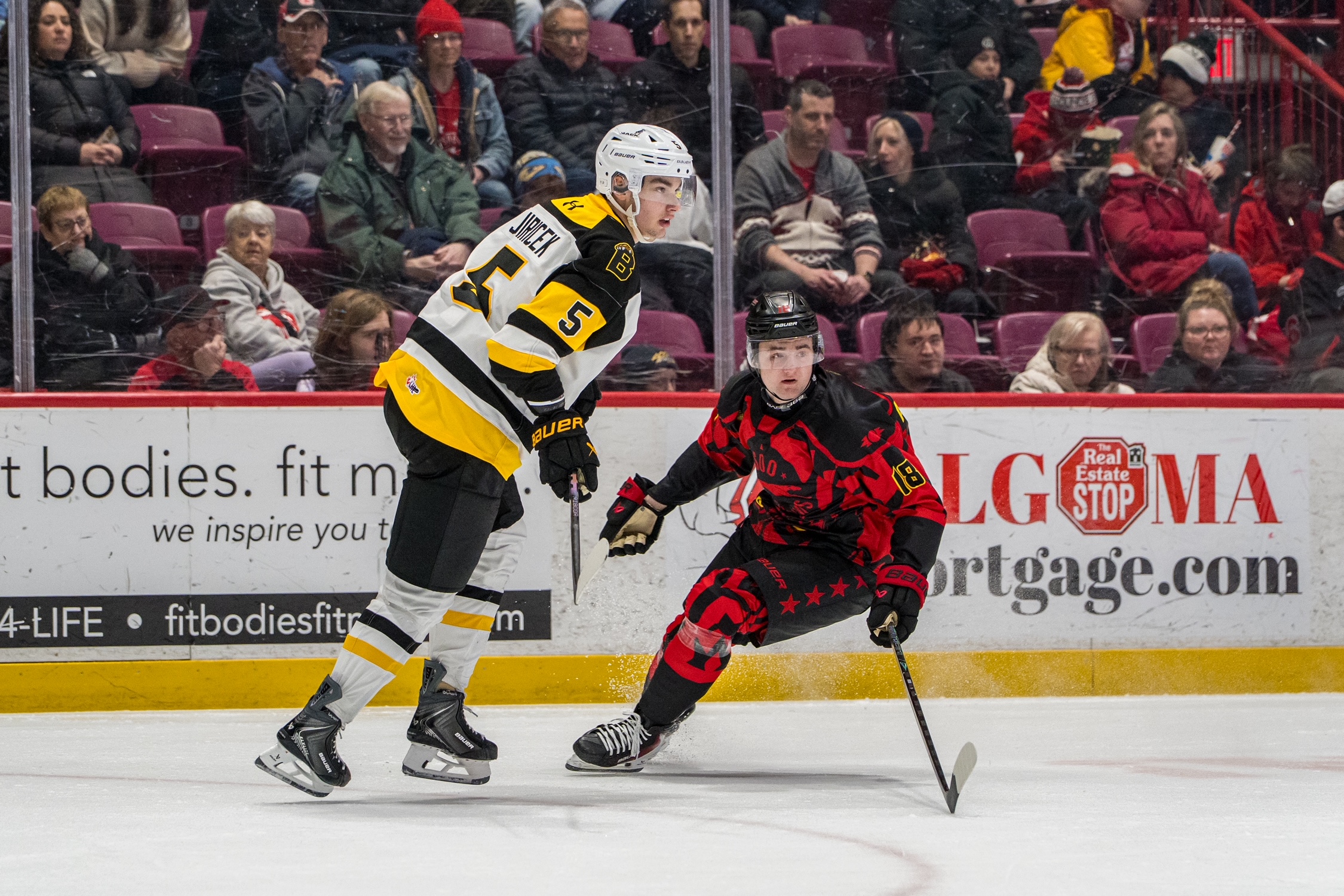 Egorov’s 40-Save Shutout Leads Bulldogs Past Greyhounds in Sunday at the Memorial Gardens