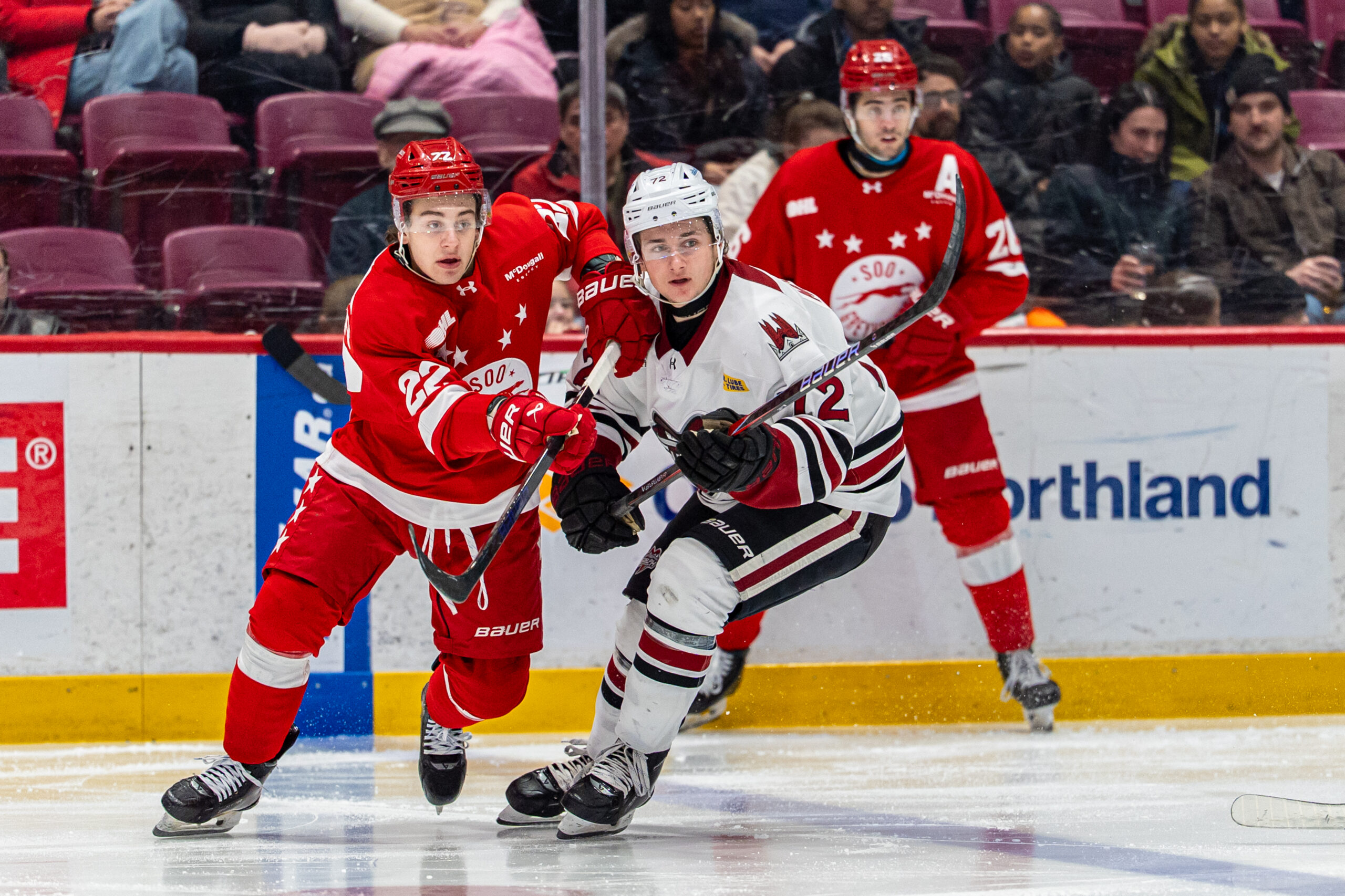 Greyhounds Bounce Back with Shutout Victory Over Storm in Guelph