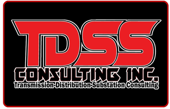TDSS Consulting