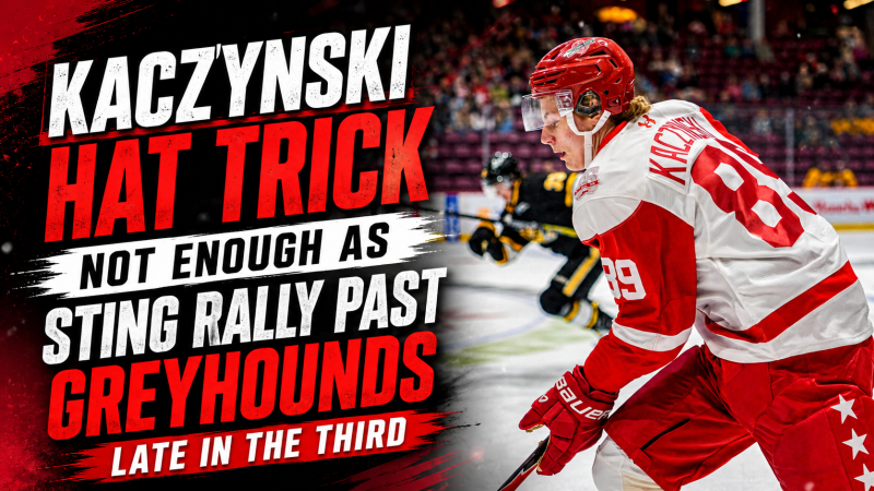 Kaczynski Hat Trick Not Enough as Sting Rally Past Greyhounds Late in the Third